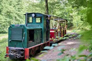Stumpfwaldbahn1 (© Donnersberg-Touristik-Verband e.V., Florian Trykwoski)