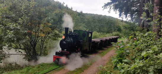 Stumpfwaldbahn 2
