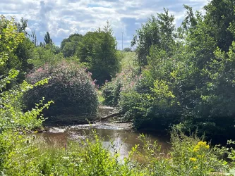 Blick auf die Pfrimm