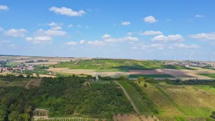 Aufnahme mit Blick auf den Wartturm und den Wingertsberg.