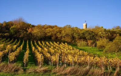 Wartturm im Herbst (© Donnersberg-Touristik-Verband e.V., Florian Orth)