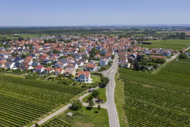 Ellerstadt Luftbild (© Stobbe)