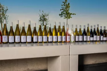 StudierWeine (© Weingut Studier)