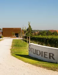 Vinothek Zufahrt