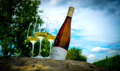 4. Runde unserer Karussell Weine