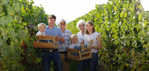 Hammel2 (© Weingut Herbert Hammel)