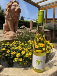 Eine Flasche Wein steht neben bunten gelben Blumen in einem Garten. Im Hintergrund ist eine Löwenskulptur zu sehen, und der Himmel ist blau.