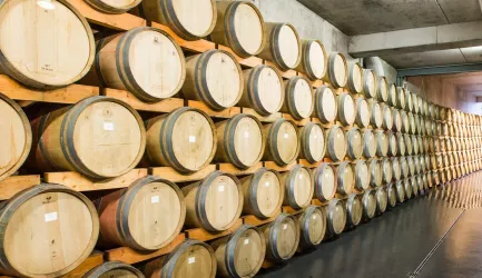 Fasskeller Weingut Studier