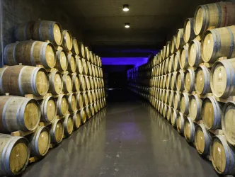 Fasskeller (© TI Wachenheim)