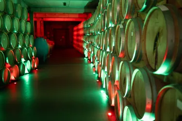 Ein Weinkeller mit Holzfässern, die in rotem und grünem Licht beleuchtet sind. Der Raum hat eine gemütliche und einladende Atmosphäre.