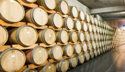 Ein Weinkeller mit zahlreichen Holzfässern, ordentlich gestapelt an der Wand. Die Atmosphäre ist kühl und einladend.