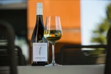 Eine Flasche Weißwein steht neben einem Weinglas auf einem Tisch. Im Hintergrund sind unscharfe grüne Pflanzen und ein Gebäude sichtbar.