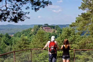 Blick vom Ruppertstein auf Burg Lemberg (© www.gliglag.de)