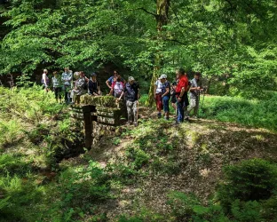 Eine Gruppe von Wanderern steht in einem grünen Wald. Im Vordergrund ist eine kleine Steinbrücke sichtbar, umgeben von üppiger Vegetation.