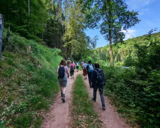 Eine Gruppe von Menschen wandert auf einem schmalen Weg durch einen Wald. Umgeben von grünen Bäumen und Sträuchern genießt die Gruppe die Natur.