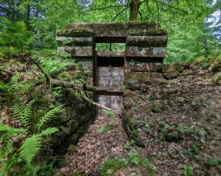 Eine alte, moosbedeckte Mauer im Wald, die zu einem Eingang führt. Umgeben von Bäumen und wilden Pflanzen zeigt sie die Spuren der Natur.