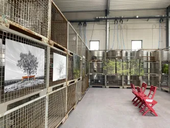 Ein Ausstellungsraum mit Kunstwerken an den Wänden. Rote Stühle stehen vor den Bildern in einem modernen, industriellen Ambiente.