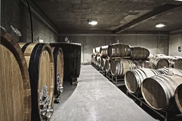 Keller (© Weingut Klein)