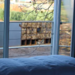 Ein Blick aus dem Fenster zeigt gestapeltes Holz und grüne Pflanzen im Hintergrund. Der Raum wirkt gemütlich und einladend.