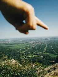 Eine Hand zeigt auf eine weite Landschaft mit Weinbergen und einem klaren blauen Himmel. Die Aussicht ist atemberaubend und vermittelt ein Gefühl von Weite.