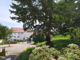 Ein grüner Garten mit blühenden Sträuchern und einem großen Baum. Im Hintergrund sind helle Gebäude und Sitzmöglichkeiten zu sehen.
