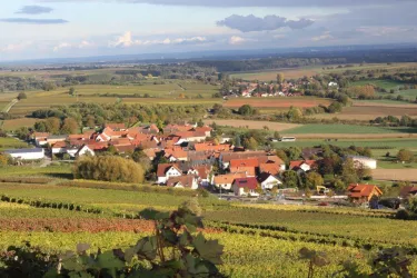 Blick auf Pleisweiler (© Archiv Tourismusverein SÜW Bad Bergzabern e.V.)