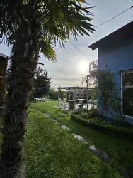 Ein ruhiger Garten mit einem Palmenbaum und einem blauen Haus im Hintergrund. Die Sonne scheint und gibt der Szene ein angenehmes Licht.