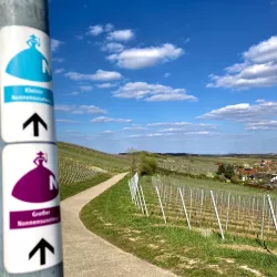 Kleiner Nonnensuselweg (© Tourismusverein Südliche Weinstraße Bad Bergzabern e.V.)