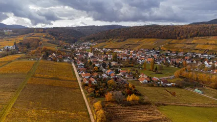 Eine malerische Landschaft mit sanften Hügeln und Weinbergen. Im Vordergrund liegt ein kleines Dorf umgeben von herbstlich gefärbten Feldern.
