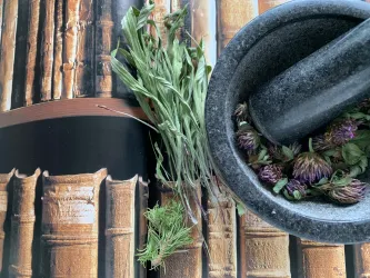 Naturapotheke (© Kerstin Mehne)