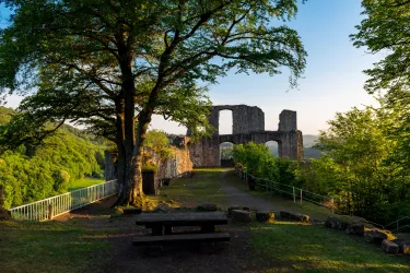 Burgruine Falkenstein