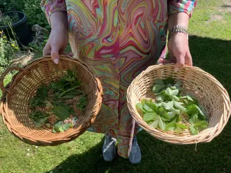 Ach, du grüne Neune (© Kerstin Mehne)