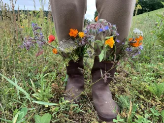 Kräuterspaziergang Falkenstein (© Kerstin Mehne)