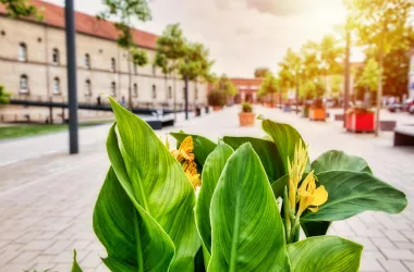 Germersheim-Garnisonslazarett-Paradeplatz-3669b-©F