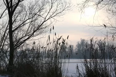 Naherholungsgebiet Sondernheim-8934