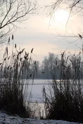 Naherholungsgebiet Sondernheim-8936