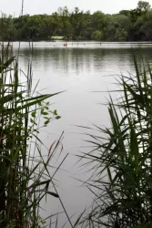 Naherholungsgebiet Sondernheim-9471