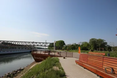 Rheinvorland beim Schiffsanleger IMG_4211 (11)