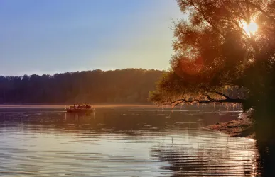 Eine ruhige Seenlandschaft mit sanften Wellen und einem Boot auf dem Wasser. Die Sonne scheint durch die Bäume und erzeugt eine warme Atmosphäre.
