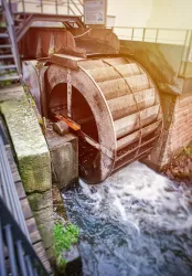 Queichbegleitender Weg-©Britta Hoff-6661