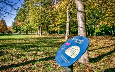 Sollachsee-Discgolf-Anlage-©Britta Hoff-0953