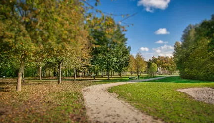 Sollachsee-Discgolf-Anlage-©Britta Hoff-0985