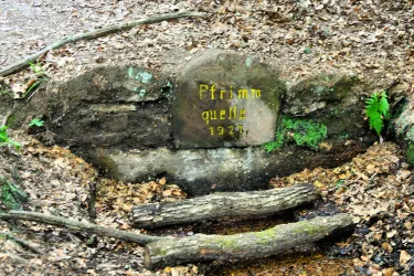Pfrimmquelle bei Sippersfeld