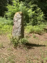 Menhir Langer Stein (albert koch)