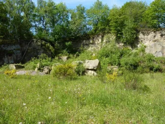 Steinbruch Sulzbachtal (© FVZV Pfälzer Bergland)