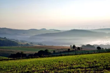 Blick in Richtung Olsbrücken (© Tourist-Info Otterbach-Otterberg)