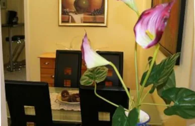 Ein eleganter Essbereich mit einem Glastisch und schwarzen Stühlen. Auf dem Tisch steht eine dekorative Blumenvase mit bunten Blumen.