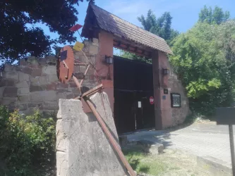 Haldemühle_Bissersheim_MatthiasKunkel
