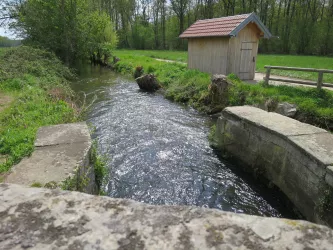 Teilungswehr mit Blick auf den Spiegelbach