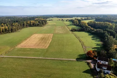 Ausblick auf die Queichwiesen